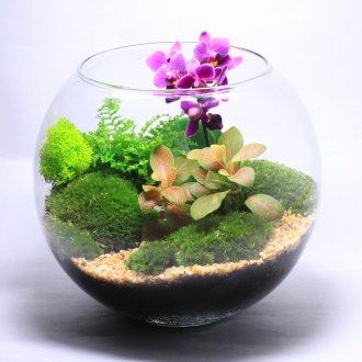 Etli Florarium
