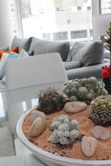 Grande florário com cactos na sala de estar