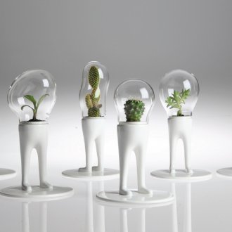 Cactos em vasos incomuns