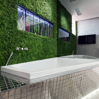 Green wall in the bathroom