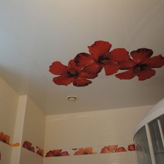 stretch ceiling