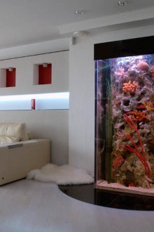 acquario