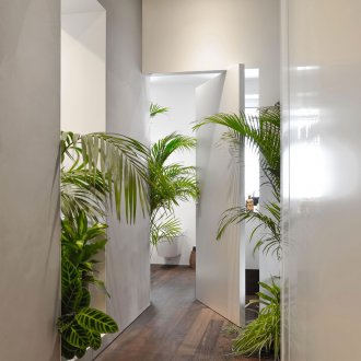 Calathea