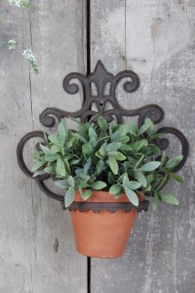 Jardinière