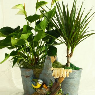 Jardinière
