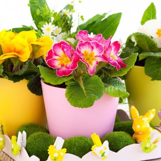 Jardinière