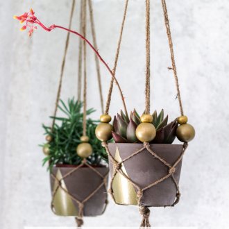 Jardinière