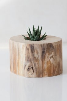 Jardinière