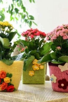 Jardinière