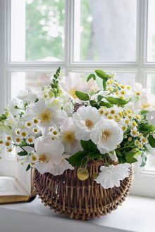 ikebana