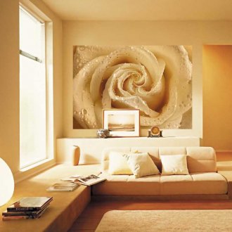 Cuadro panorámico con una rosa