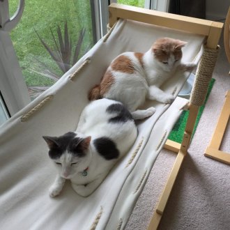 Hammock for cat