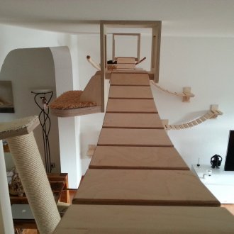 Hammock for cat
