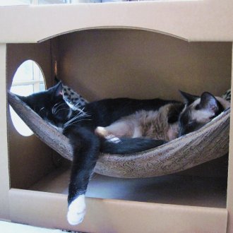 Hammock for cat