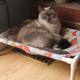 Hammock for cat