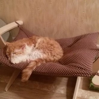 Hammock for cat