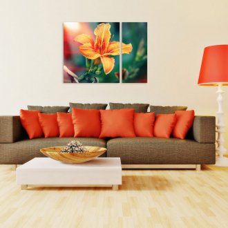 Oturma odasının dekorunda diptych