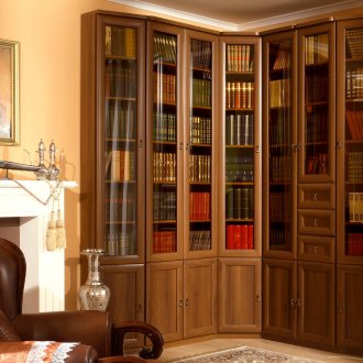 Corner cabinet bookcase