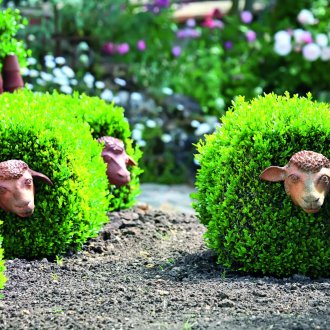 Arredamento cespugli in giardino