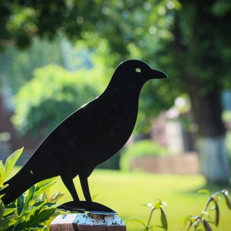 Metal bahçe raven figürü
