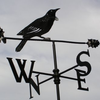 Raven Rüzgar gülü