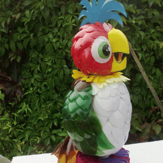 Plastic bottle parrot