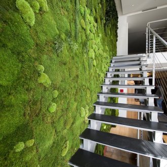 Jardinagem vertical com musgo