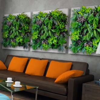 Painel verde no interior