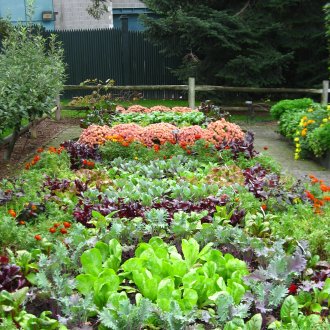 Camas de jardín