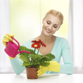 Regar flores de interior com água mineralizada