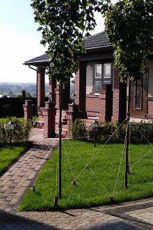 Plantando um jardim comercial