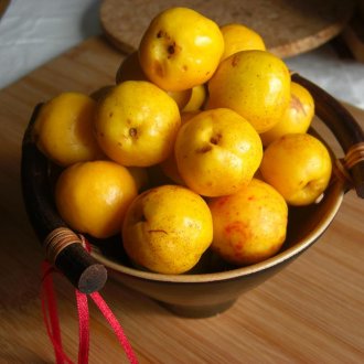 Fruits de coing japonais