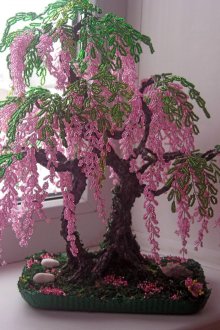 Glycine de perles
