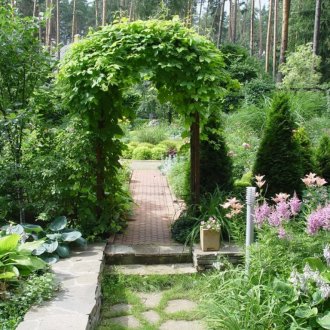 Pergola dans le jardin