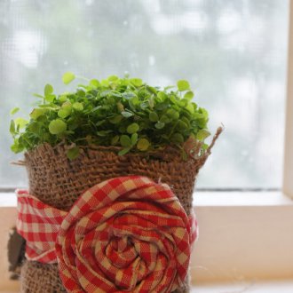 Çuval bezi çiçek pot