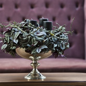 Tradescantia'dan kompozisyon