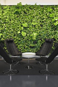 Wand mit lebenden Pflanzen im Arbeitsbereich