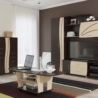 Wohnzimmer aus Wenge und gebleichter Eiche
