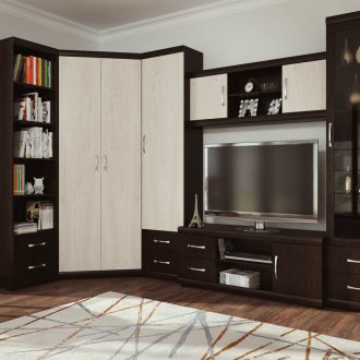 Wenge Schrank im Wohnzimmer