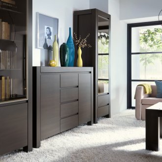 Regal wenge im Wohnzimmer