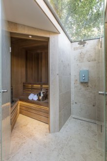 Evde sauna için cam kapı