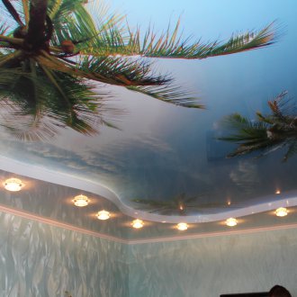 Soffitto teso con stampa fotografica di palme