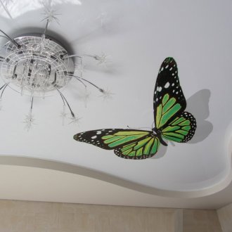 Soffitto teso con stampa fotografica e motivo