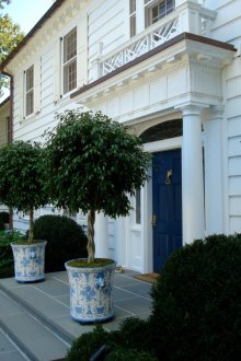Evin verandada ağaçlar.