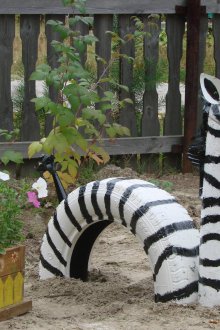 Bahçe lastiği zebra