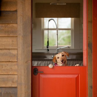 Red door for giving