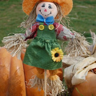 Little scarecrow