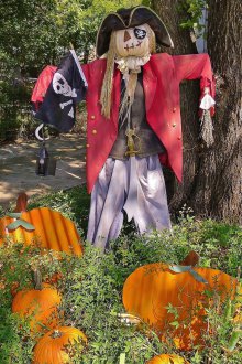 Stuffed pirate