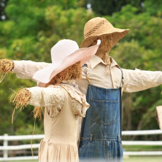 Scarecrow in the garden