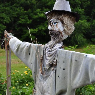 Scarecrow in a shirt